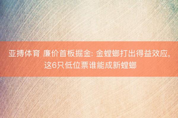 亚搏体育 廉价首板掘金: 金螳螂打出得益效应， 这6只低位票谁能成新螳螂