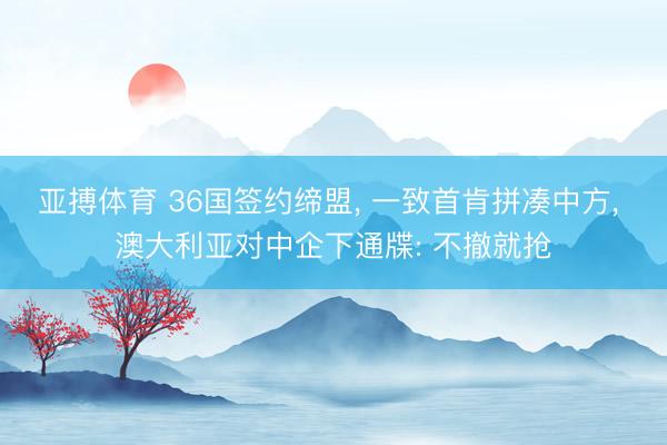 亚搏体育 36国签约缔盟， 一致首肯拼凑中方， 澳大利亚对中企下通牒: 不撤就抢