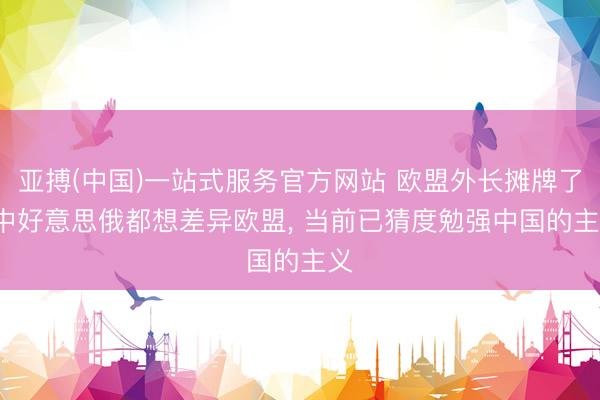 亚搏(中国)一站式服务官方网站 欧盟外长摊牌了: 中好意思俄都想差异欧盟， 当前已猜度勉强中国的主义