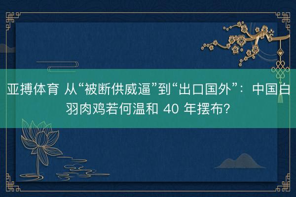 亚搏体育 从“被断供威逼”到“出口国外”：中国白羽肉鸡若何温和 40 年摆布？