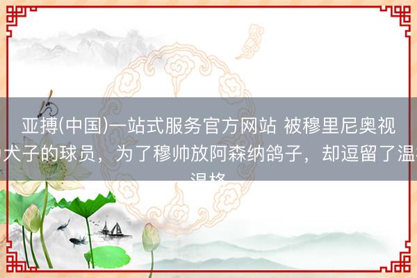 亚搏(中国)一站式服务官方网站 被穆里尼奥视为犬子的球员，为了穆帅放阿森纳鸽子，却逗留了温格