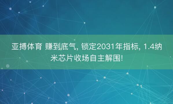 亚搏体育 赚到底气， 锁定2031年指标， 1.4纳米芯片收场自主解围!