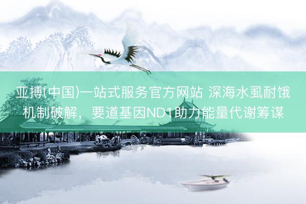 亚搏(中国)一站式服务官方网站 深海水虱耐饿机制破解，要道基因ND1助力能量代谢筹谋