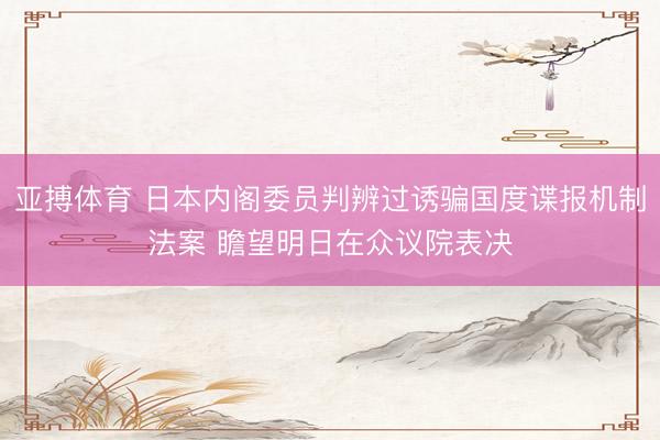 亚搏体育 日本内阁委员判辨过诱骗国度谍报机制法案 瞻望明日在众议院表决
