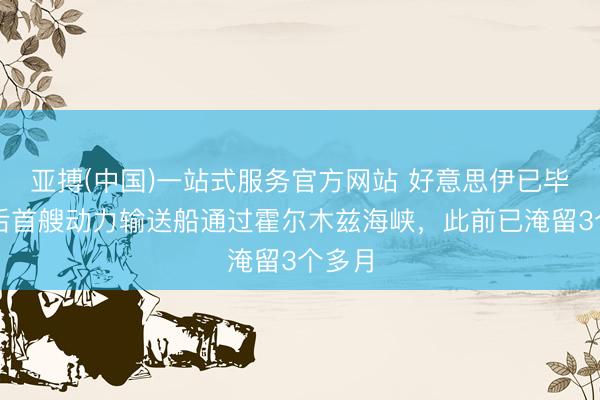 亚搏(中国)一站式服务官方网站 好意思伊已毕左券后首艘动力输送船通过霍尔木兹海峡，此前已淹留3个多月