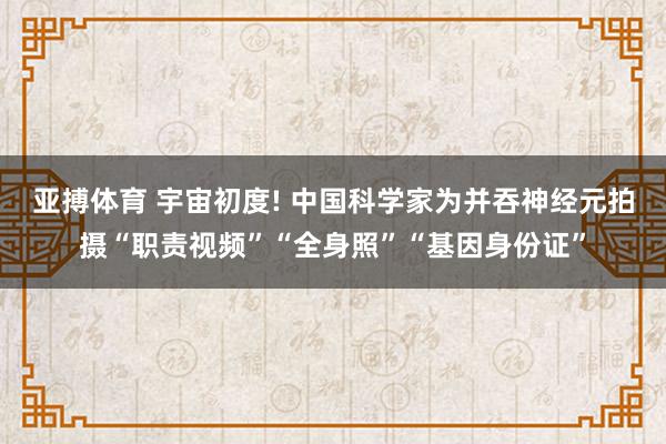 亚搏体育 宇宙初度! 中国科学家为并吞神经元拍摄“职责视频”“全身照”“基因身份证”