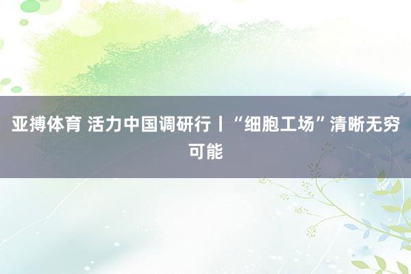 亚搏体育 活力中国调研行丨“细胞工场”清晰无穷可能