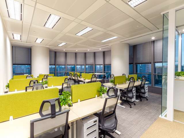 山东轿车百援精养价格